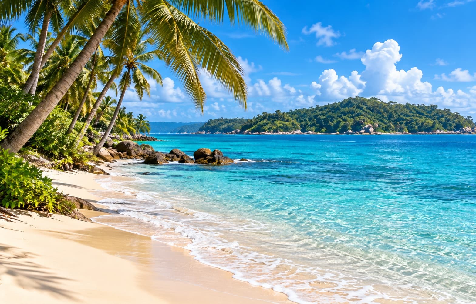 Coconut palms over a white sand beach and turquoise bay